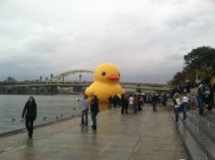 giant rubber ducky in Pittsburgh