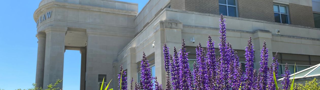 WVU Law column entrance with purple flowers