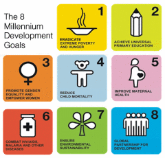 Work Being Done on the Millenium Development Goals