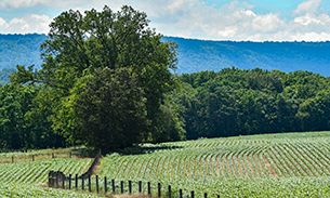 WVU Law - farmland in West Virginia
