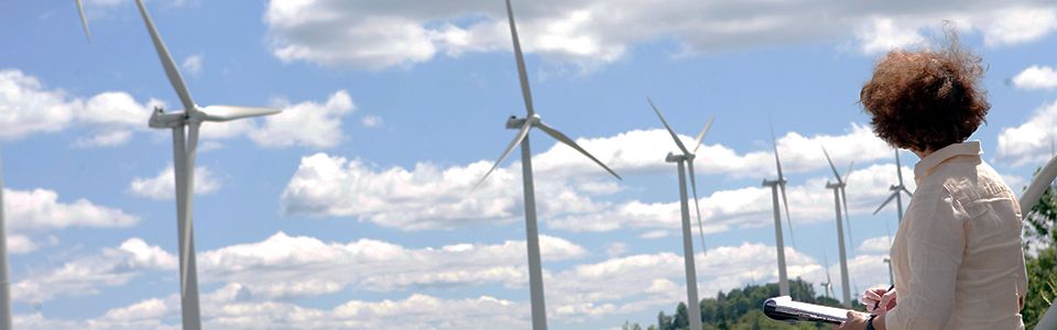 WVU Law wind turbines